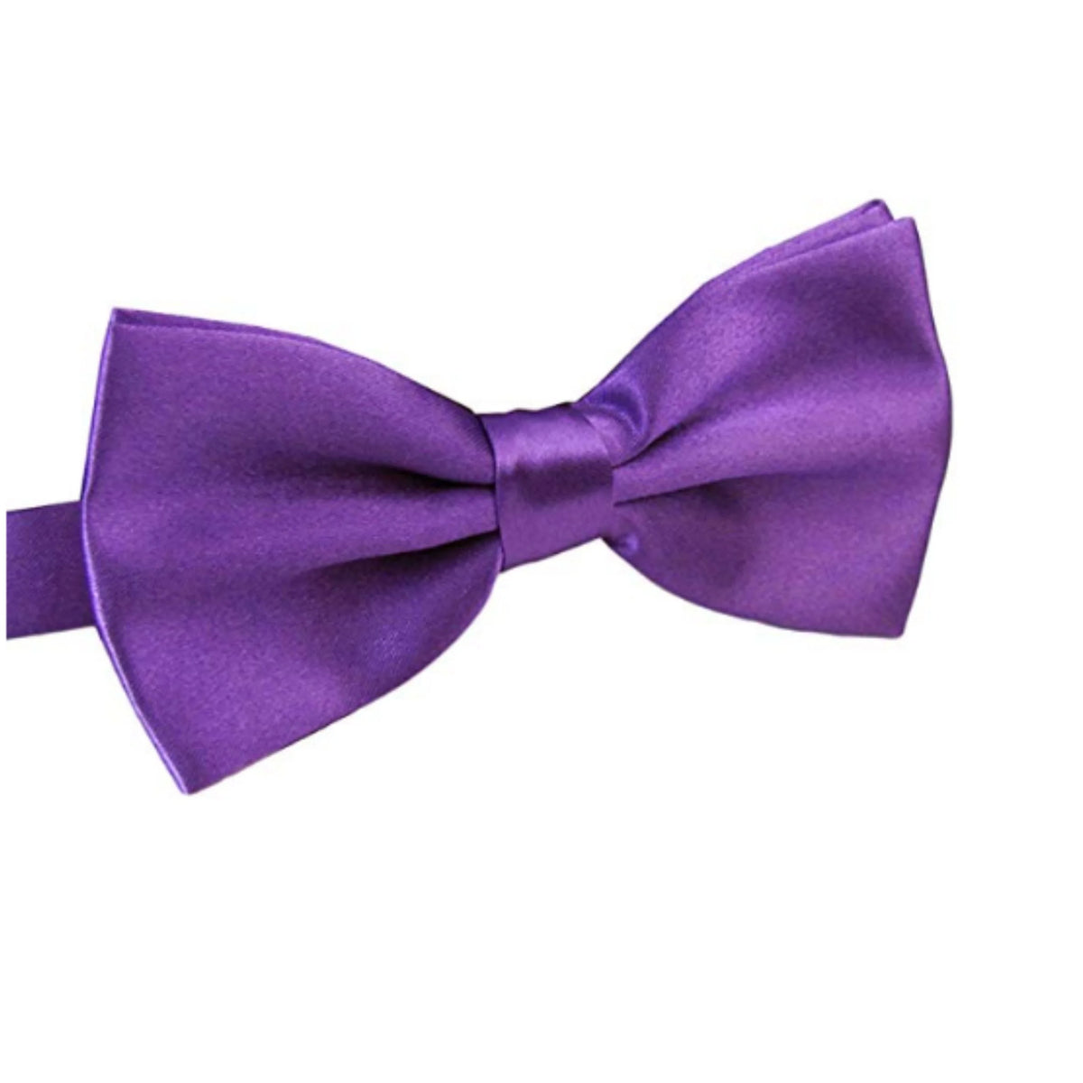 Gravata Borboleta Roxa