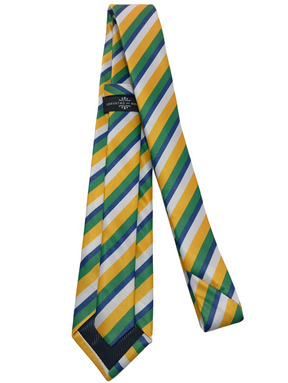Gravata Tradicional Lisa Cores Bandeira do Brasil